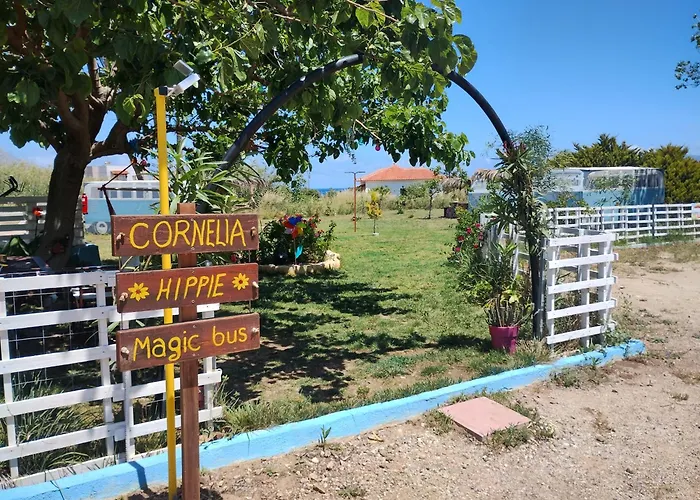 Cornelia Hippie Magic Bus