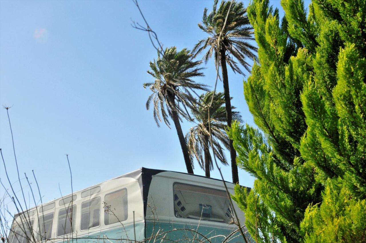 Cornelia Hippie Magic Bus Farma *