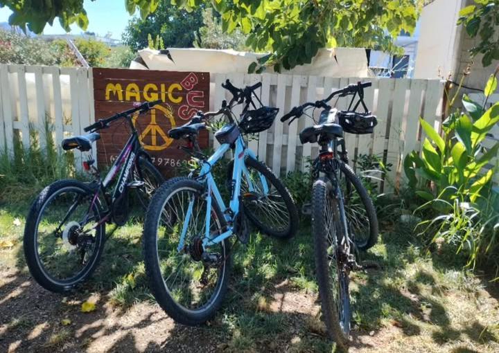 Cornelia Hippie Magic Bus Farm stay *