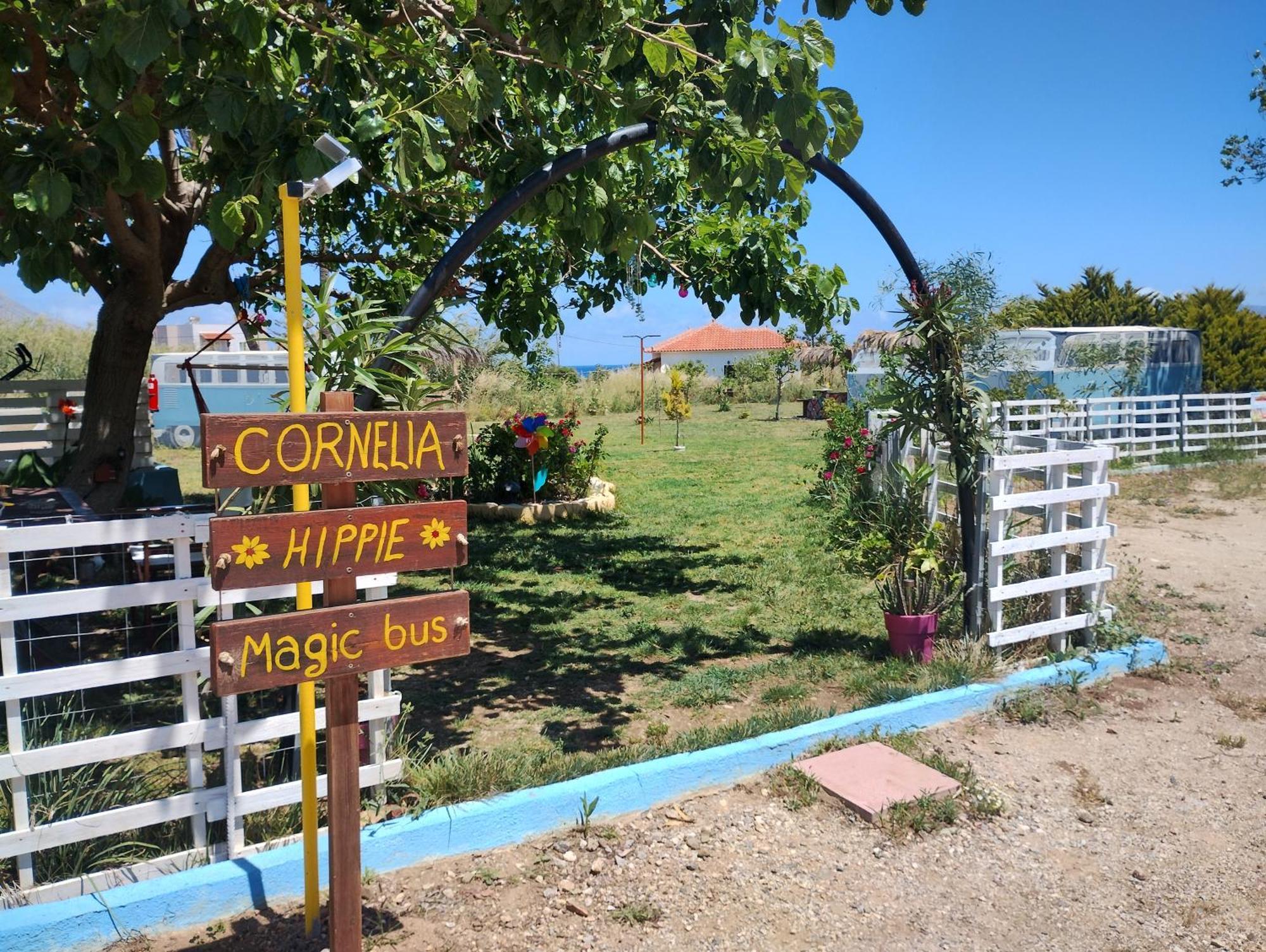 Κατάλυμα σε φάρμα Cornelia Hippie Magic Bus