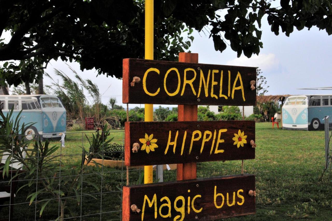 Bauernhof Cornelia Hippie Magic Bus